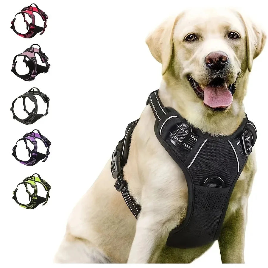 UrbanWalk™ Dog Harness & Lead Set