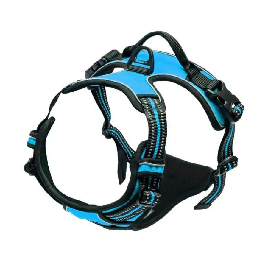 UrbanWalk™ Dog Harness & Lead Set