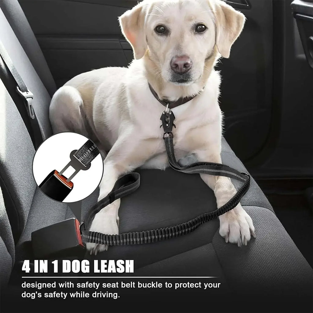 DualSafe™ 2-in-1 Bungee Dog Lead &amp; Car Seatbelt