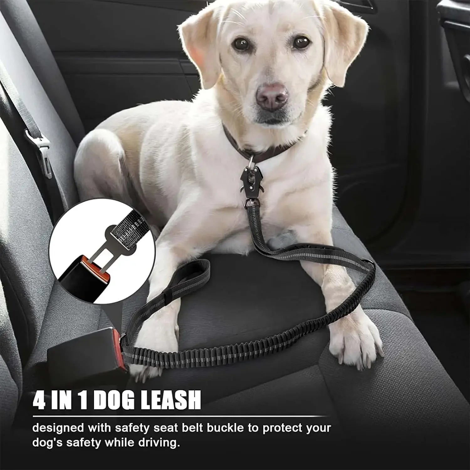 DualSafe™ 2-in-1 Bungee Dog Lead &amp; Car Seatbelt