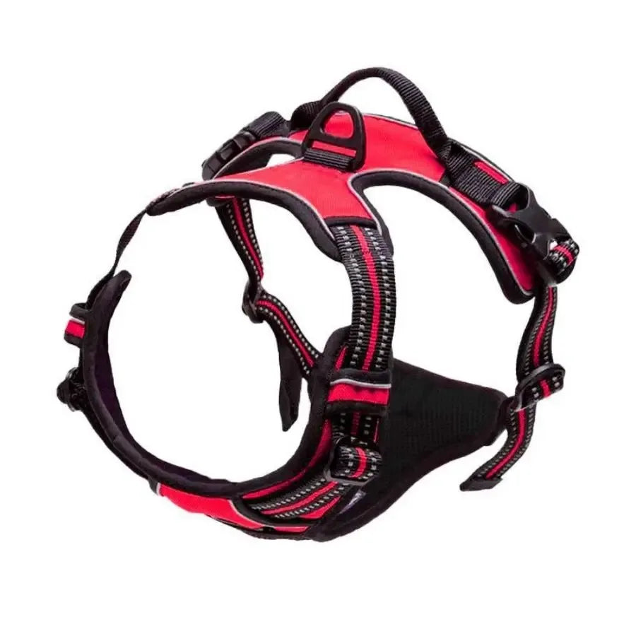 UrbanWalk™ Dog Harness & Lead Set