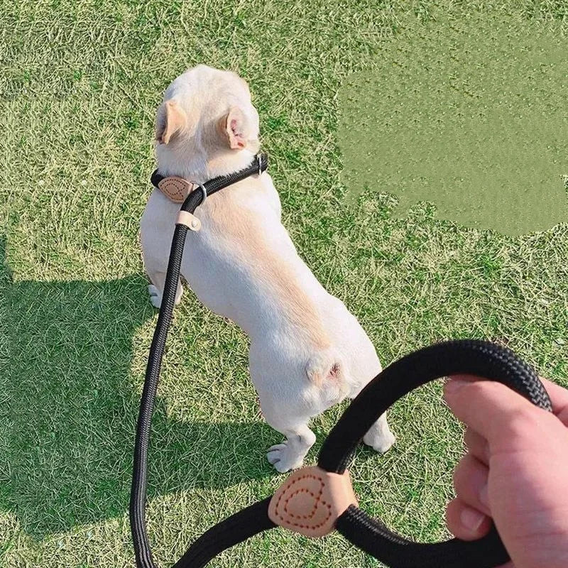 ControlFlex™ Nylon Pet Lead