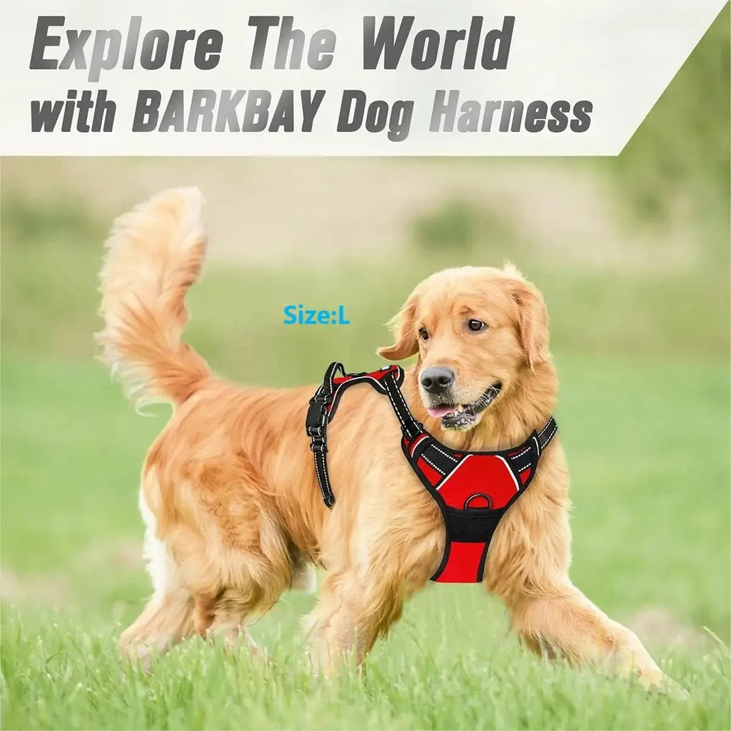 UrbanWalk™ Dog Harness & Lead Set