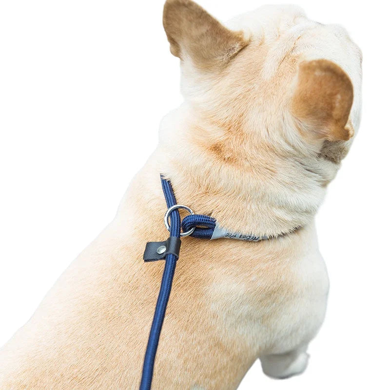 ControlFlex™ Nylon Pet Lead