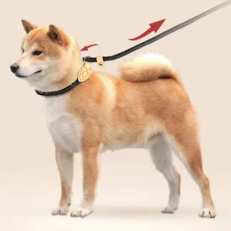 ControlFlex™ Nylon Pet Lead