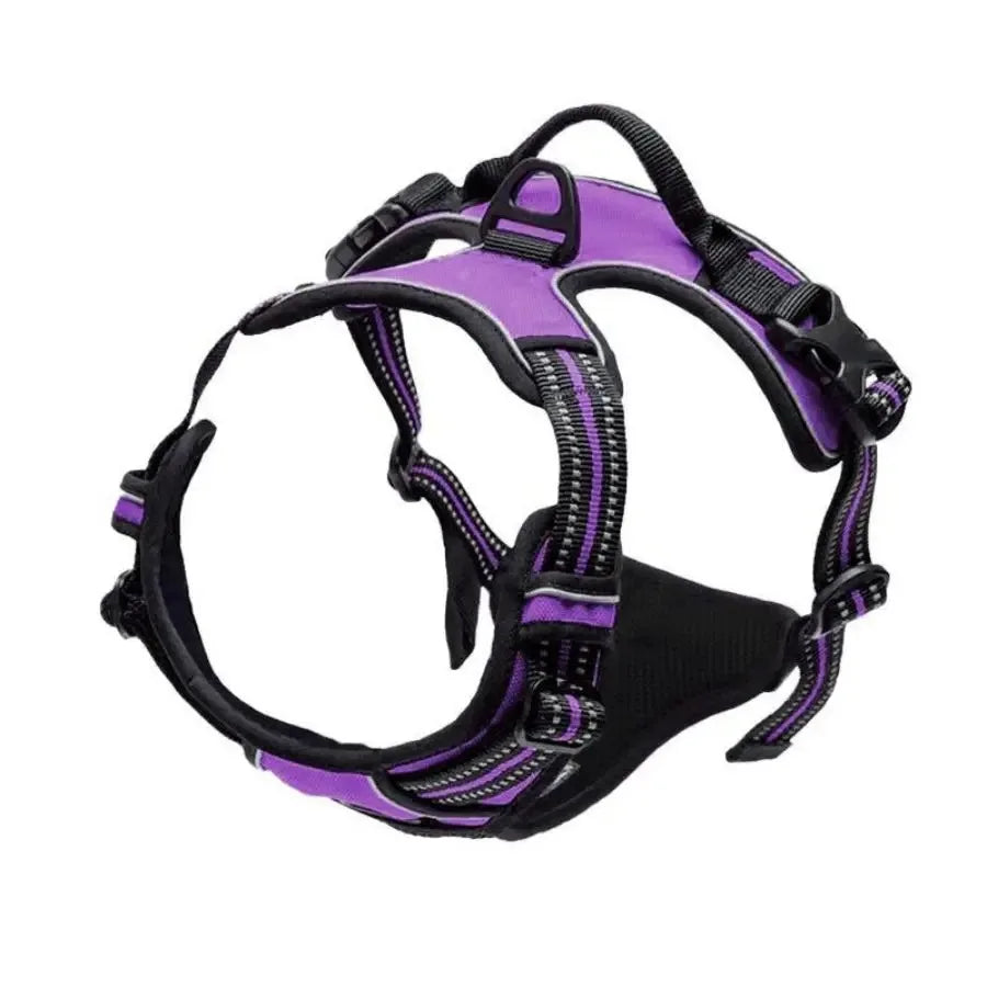 UrbanWalk™ Dog Harness & Lead Set