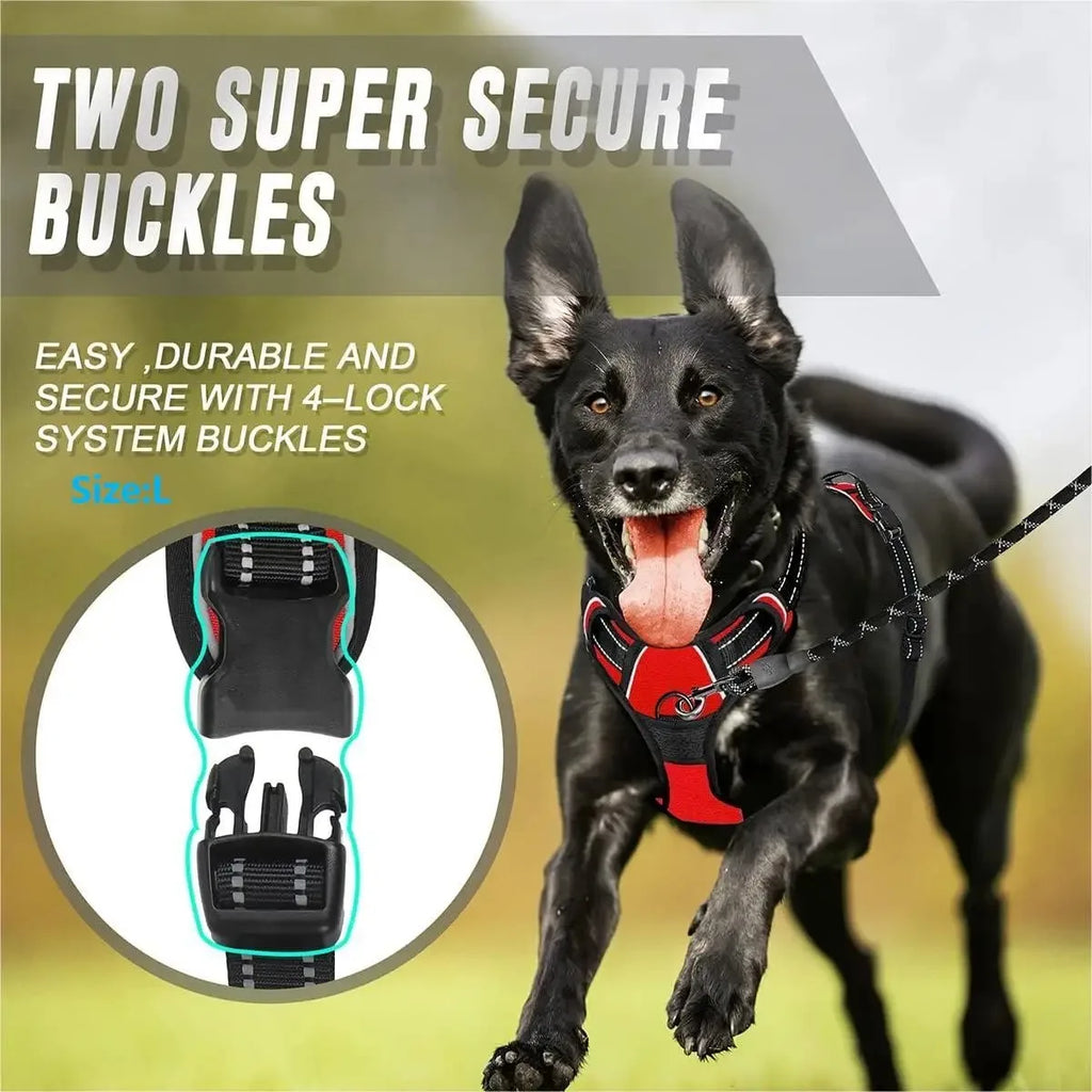 UrbanWalk™ Dog Harness & Lead Set