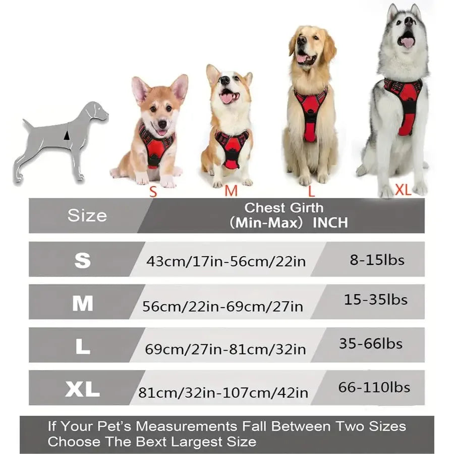 UrbanWalk™ Dog Harness & Lead Set