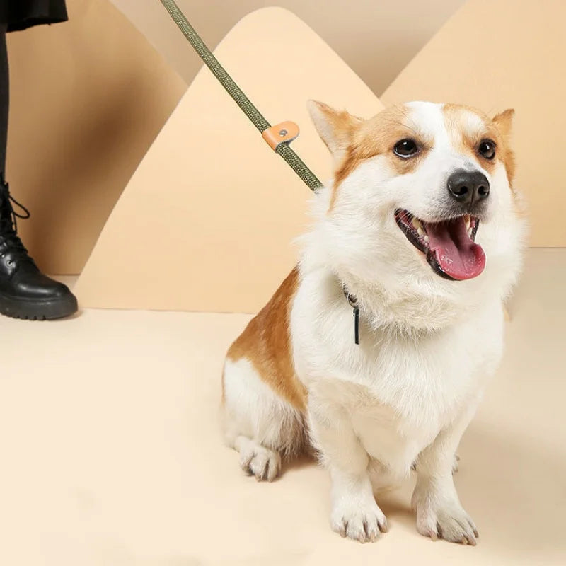 ControlFlex™ Nylon Pet Lead