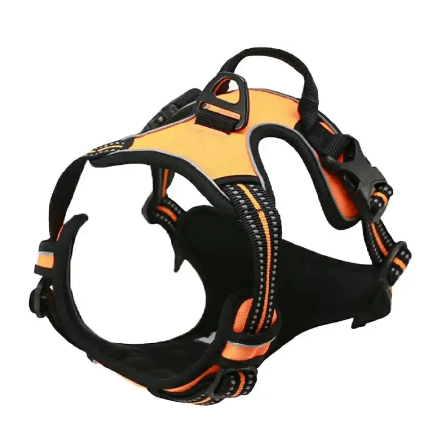 UrbanWalk™ Dog Harness & Lead Set