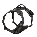 UrbanWalk™ Dog Harness & Lead Set